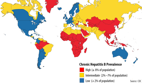 Chronic Hepatitis B Prevalence